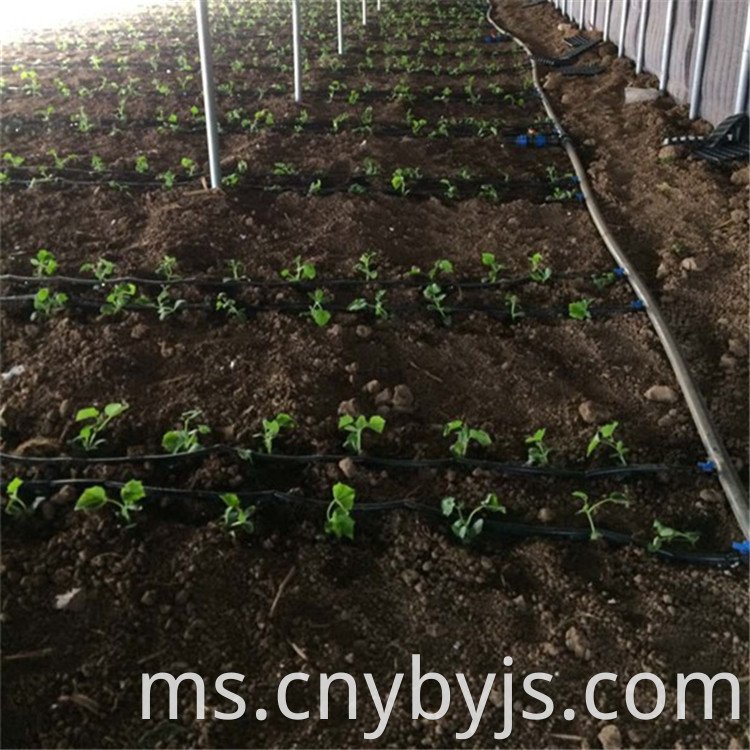 Drip Irrigation 97